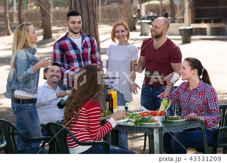 Colleagues making grill at picnic 43531209