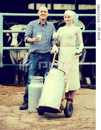 Farmers holding large metallic milk cans Farmers holding large metallic milk cans 43531490