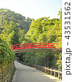 箕面市の綺麗な森の風景 43531562