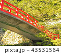 箕面市の綺麗な赤色の橋 43531564
