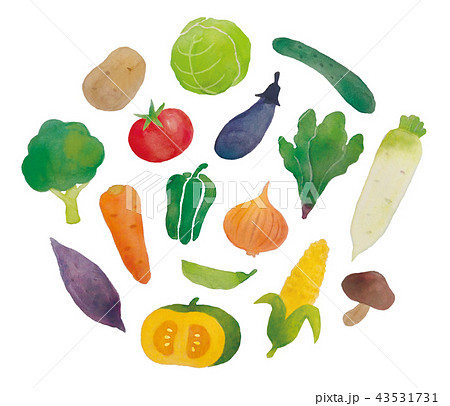 野菜水彩画のイラスト素材