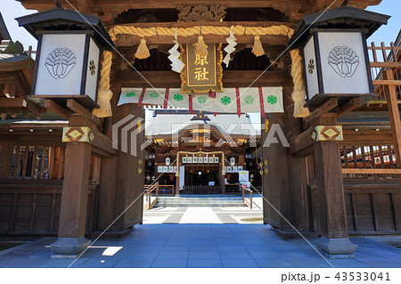 佐賀県佐賀市 佐嘉神社(さがじんじゃ) 松原神社 佐賀県佐賀市 佐嘉神社(さがじんじゃ) 松原神社 43533041