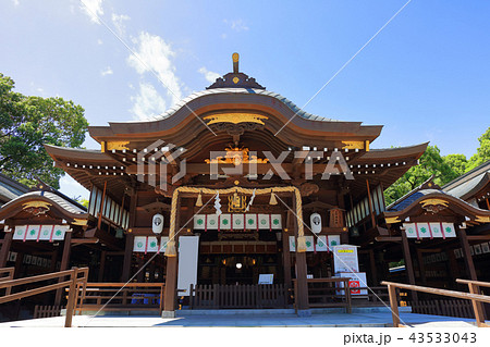 佐賀県佐賀市 佐嘉神社(さがじんじゃ) 松原神社 佐賀県佐賀市 佐嘉神社(さがじんじゃ) 松原神社 43533043