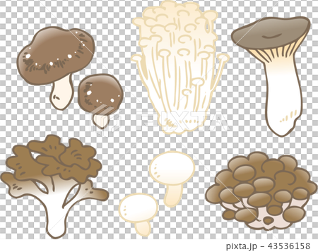 mushroom mushroom 43536158