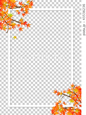 秋 紅葉 白いフレーム Png 透過 切り抜き素材 のイラスト素材