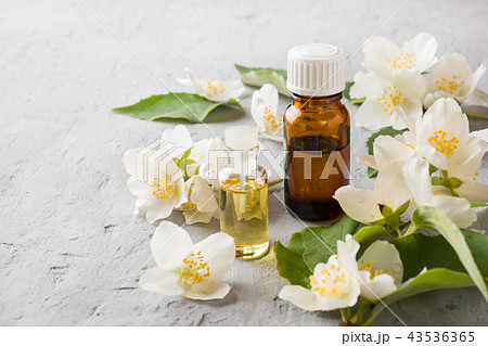 Jasmine oil. Aromatherapy with Jasmine oil  43536365