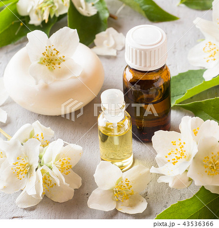 Jasmine oil. Aromatherapy with Jasmine oil  43536366