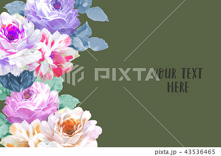 薔薇 バラ科 バラ 43536465