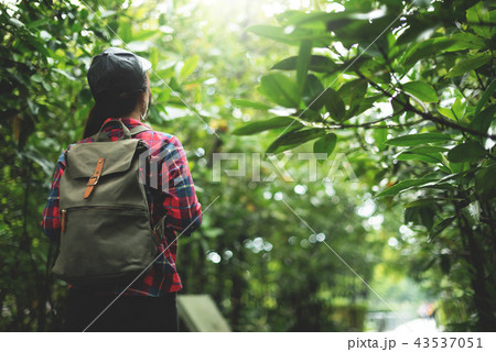 Asian girl traveler walking in the forest. 43537051