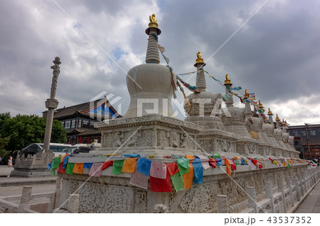 HOHHOT city view 43537352