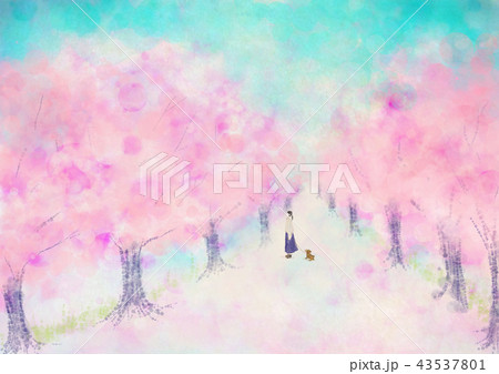 桜　満開　イラスト　青空　人物　犬 43537801