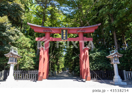 弥彦神社 43538254