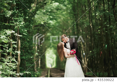 Happy wedding couple charming groom and perfect bride posing in park Happy wedding couple charming groom and perfect bride posing in park 43539022