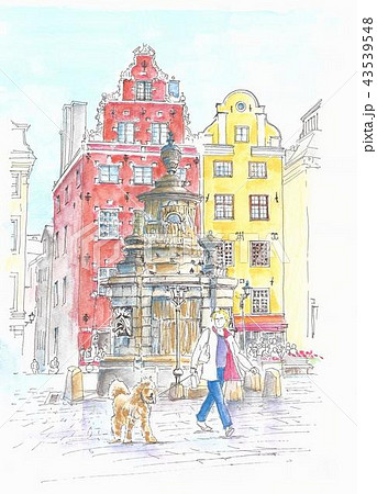 ストックフォルム・ガムラスタンのワンコのお散歩 ストックフォルム・ガムラスタンのワンコのお散歩 43539548