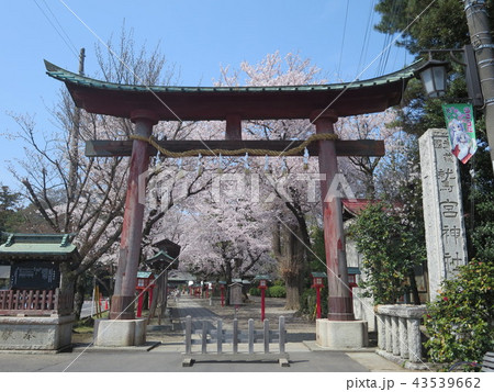 鷲宮神社の鳥居 らきすた 鷲宮神社の鳥居 らきすた 43539662