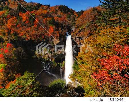 紅葉の華厳の滝 紅葉の華厳の滝 43540464