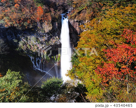 紅葉の華厳の滝 紅葉の華厳の滝 43540465