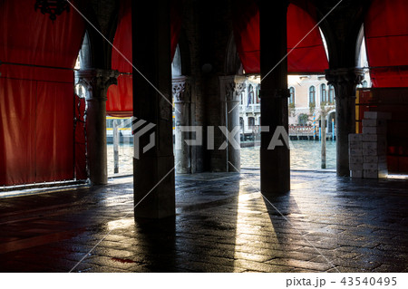Rialto Fish Market 43540495
