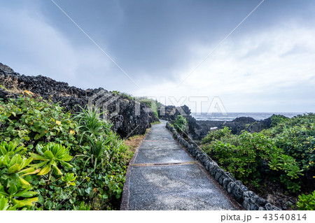 台湾 台東 三仙台 43540814