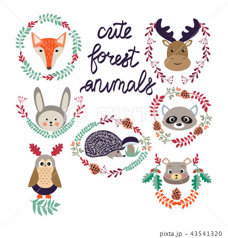 cute forest elements animals and plants 43541320