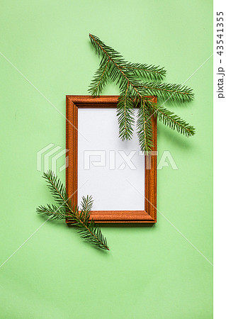 Framework and plant on green paper, top view. Framework and plant on green paper, top view. 43541355