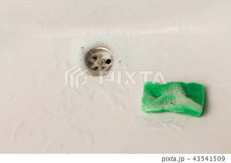 Sponge and detergent in sink. 43541509