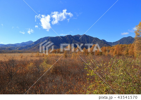 戦場ヶ原展望所から見た外山(2204m)と戦場ヶ原の風景 43541570