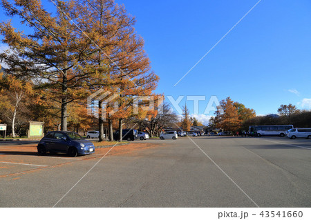 秋の奥日光 三本松園地駐車場と休憩所方面 秋の奥日光 三本松園地駐車場と休憩所方面 43541660
