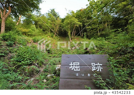 向羽黒山城 43542233