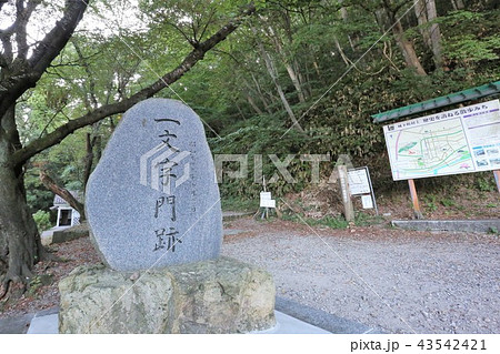 村上城 村上城 43542421