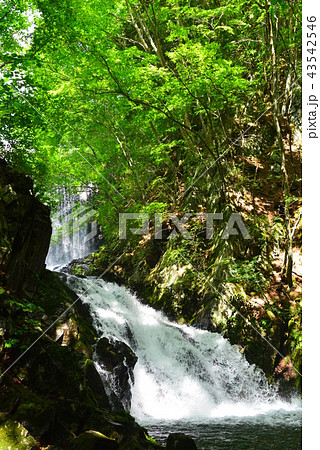 巣栗渓谷 長和町 巣栗渓谷 長和町 43542546