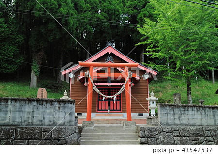 熊野神社 熊野神社 43542637
