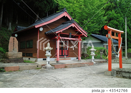 熊野神社 43542766