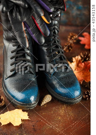 Clothing, shoes and accessories Clothing, shoes and accessories 43543158