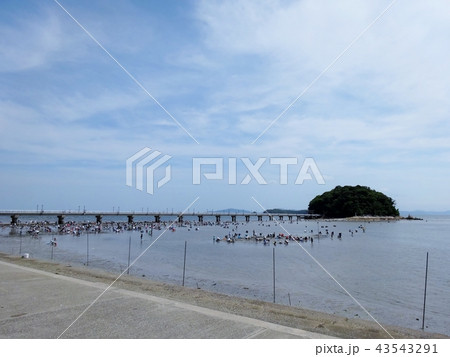 竹島 (愛知県) 竹島 (愛知県) 43543291