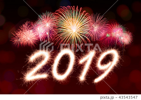2019 2019 43543547