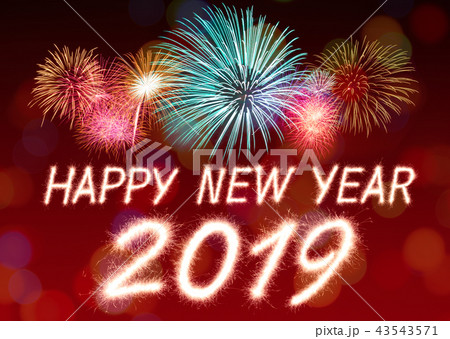 2019 2019 43543571