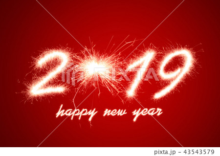 2019 43543579
