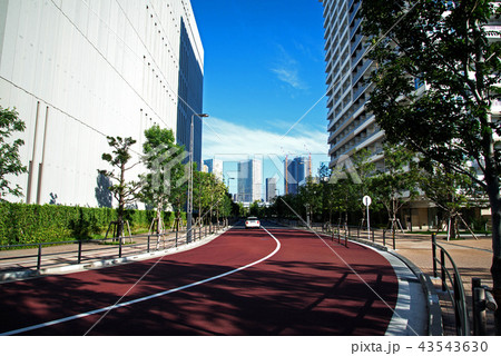 豊洲の高層マンション 豊洲の高層マンション 43543630