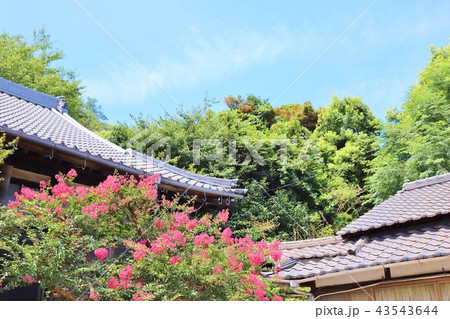 鞆の浦　小松寺 43543644