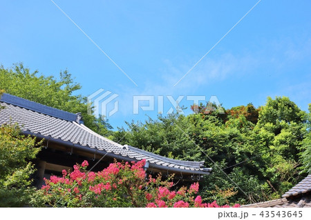 鞆の浦 小松寺 鞆の浦 小松寺 43543645