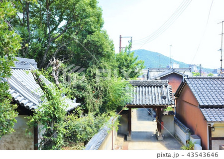 鞆の浦　小松寺 43543646