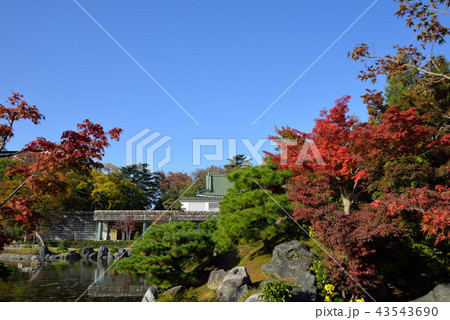 富山城址公園 43543690