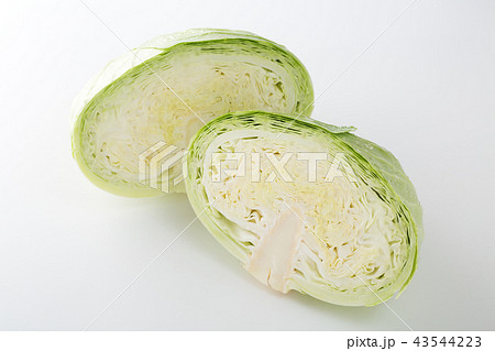 キャベツ 43544223