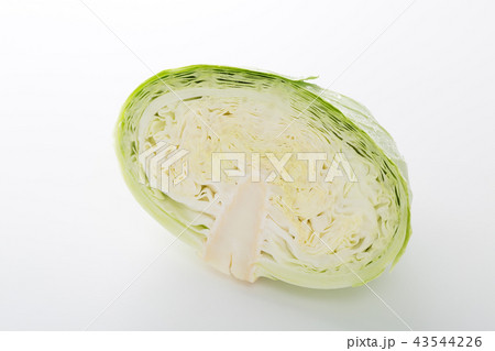 キャベツ 43544226