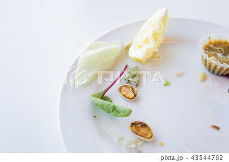 食べ残しイメージ 食べ残しイメージ 43544762