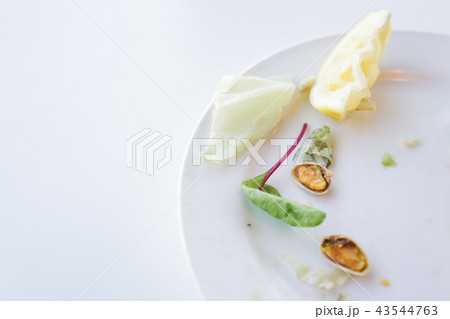食べ残しイメージ 食べ残しイメージ 43544763
