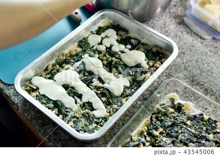 Fried spinach lay on boiled pasta for make lasagna Fried spinach lay on boiled pasta for make lasagna 43545006