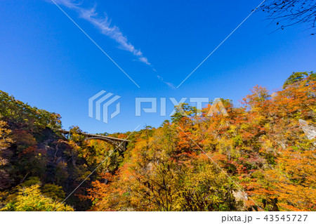 【宮城県】鳴子峡の紅葉 【宮城県】鳴子峡の紅葉 43545727