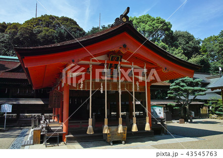 山口　住吉神社拝殿 43545763